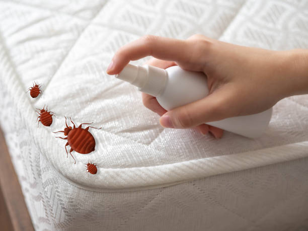 Best Residential Pest Control  in Essex Fells, NJ